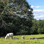 Les Templiers La Ferme Vosgienne Du Xvii Siecle Vakantiehuis Fremifontaine