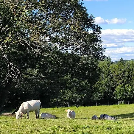 Les Templiers La Ferme Vosgienne Du Xvii Siècle Hébergement de vacances Fremifontaine