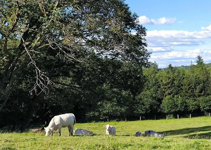 Les Templiers La Ferme Vosgienne Du Xvii Siecle 度假居 Fremifontaine